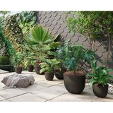 Artevasi Tegla za cvijeće od reciklirane plastike ø 30 cm Havana – | shoptok.hr