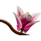 Lego Botanical Collection: Vejice magnolije | Shoptok.si