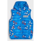 Sinsay Kviltana puffer prsluk s kapuljačom Sonic the Hedgehog | shoptok.hr