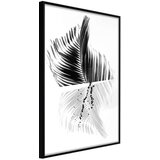  Poster - Abstract Feather 20x30 | shoptok.hr