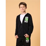 Sinsay Hoodie s tiskom Minecraft | shoptok.hr