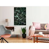  Slika - Flying Over Forest (1 Part) Vertical 60x90 | shoptok.hr