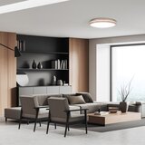 solight WO8007 - LED prigušiva svetiljka WOODY LED/48W/230V 3000-6500K prečnik 38 cm + daljinski upravljač | Eponuda.com