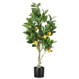 Dekordom Drvo lemon - 150cm - n55 ( 025086 ) u