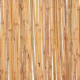 Ograda od bambusa 500 x 30 cm | Eponuda.com