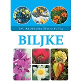  Biljke | Eponuda.com