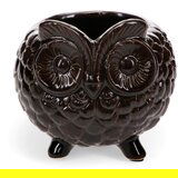 Rex London Keramičen okrasni cvetlični lonec ø 11 cm Owl – | Shoptok.si