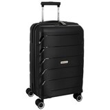 Spirit kofer Passport 24