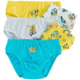 Cool club spodnje hlače slip 5 kosov LUB3011237-00 F večbarvno 110/116 | Shoptok.si