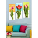 WALLXPERT Set slika MDF0032, 3 dijela Cijene