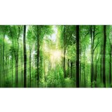 ProArt giclèe forest feeling 160 cm x 90 cm Cene