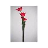  PVC cveće 620934 160-172 125cm240 bc ( 132057 ) | ePonuda.com