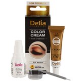 Delia Cosmetics Argan Oil boja za obrve nijansa 1.0 Black 15 ml | shoptok.hr