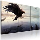  Slika - Eagle above the surface of a lake 90x60 Cijene