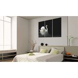  Slika - A lonely white swan 120x80 | shoptok.hr