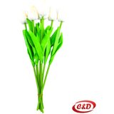  Tulipan 1 komad | Eponuda.ba