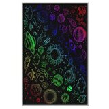 Conceptum Hypnose tepih HMNT487 (60 x 100cm) | ePonuda.com