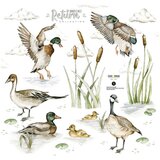 Dekornik Set dječjih zidnih naljepnica Duck on the Lake M | shoptok.hr
