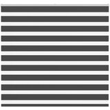 vidaXL Zavjesa zebra crna 165x150 cm širina tkanine 160,9 cm poliester | shoptok.hr