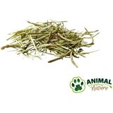 Versele-laga Versele Laga Nature seno Timothy Hay - 1 kg | Shoptok.si