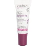 Delidea Exfoliating Lip scrub - 10 ml | shoptok.hr