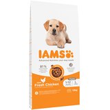  10 + 2 gratis! IAMS suha pasja hrana 12 kg - Advanced Nutrition Puppy Large s piščancem | shoptok.hr