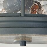 Elstead Lighting ZUNANJA STROPNA SVETILKA Chelsea 27.9/14.9 cm | Shoptok.si