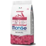 Monge all breed adult govedina 2,5kg Cene