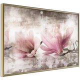  Poster - Picked Magnolias 60x40 | shoptok.hr