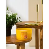 Sinsay Svijeća Harvest Grains & Autumn Fruits | shoptok.hr