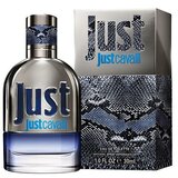 Roberto Cavalli Just Cavalli For Him toaletna voda 30 ml za moške Cene
