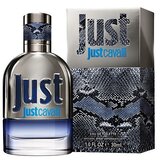 Roberto Cavalli Just Cavalli Him 2013 Eau De Toilette 30 ml (man) Cijene