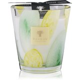 Baobab Collection Riviera Santo Sospir dišeča sveča 16 cm | Shoptok.si