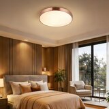 Immax NEO 07321L-LED stropna svetiljka NEO LITE SEMPLICI, prigušiva, 36 W / 230 V, prečnik 40 cm, bakarna, s daljinskim upravljačem | Eponuda.com