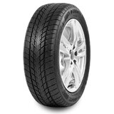 Davanti Wintoura ( 215/65 R16 98H ) zimska auto guma