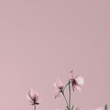 Mömax Posteljnina Wiese | Shoptok.si