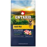 Ontario Adult Mini - piščanec in sladki krompir 6,5 kg | Shoptok.si