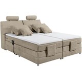 MID.YOU POSTELJA BOXSPRING 180 cm x 200 cm , tekstil, leseni material peščene barve | Shoptok.si