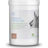 Prebiotic Centra Zink - 750 g