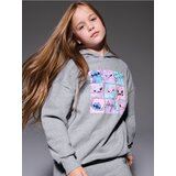 Sinsay Hoodie s tiskom Lilo & Stitch Sinsay Hoodie s tiskom Lilo & Stitch Slike