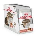Royal Canin hrana u kesici za mačke ageing +12 - sosić 12x85g Cene