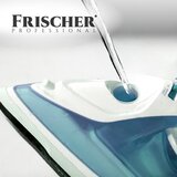 FRISCHER Sredstvo za odstranjevanje vodnega kamna iz likalnika 250ml | Shoptok.si