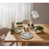 XXXL ORHIDEJA | Shoptok.si
