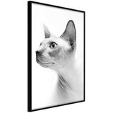  Poster - Sphinx 40x60 | shoptok.hr