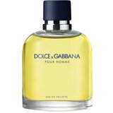 Dolce&gabbana DOLCE GABBANA Muška toaletna voda Pour homme 75ml
