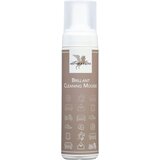 Bense & Eicke Brilliant Brillant Cleaning Mousse - 200 ml | Shoptok.si
