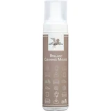 Brillant Cleaning Mousse - 200 ml