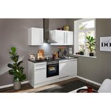 MID.YOU KUHINJSKI BLOK BREZ APARATOV | Shoptok.si