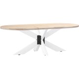  Noga klub stolića u obliku pauka, bijela, 98x58x(42-43) cm, čelik | shoptok.hr