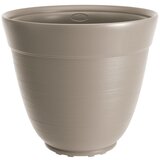  Saksija Di Martino Ticino | ePonuda.com
